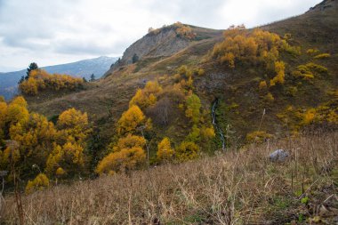 Adıge dağlarında Altın Sonbahar