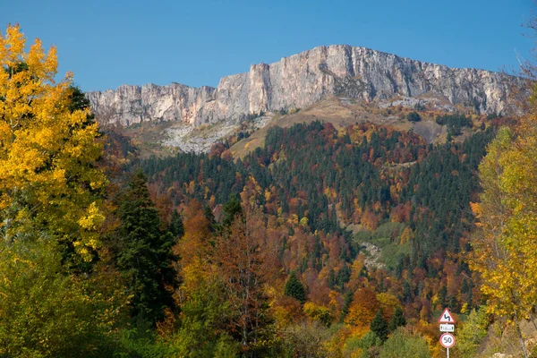 Goldener Herbst Den Bergen Von Adygea — Stockfoto
