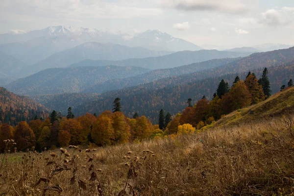 アディゲ共和国山の黄金色の秋 — ストック写真