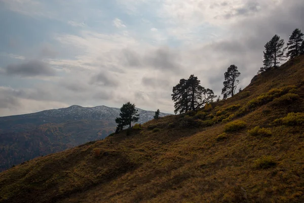 Automne Doré Dans Les Montagnes Adygea — Photo