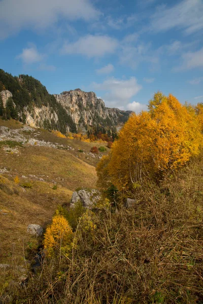 Złota Jesień Górach Adygeja — Zdjęcie stockowe