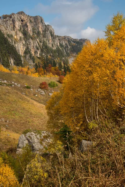 Adygea 山中的金色秋天 — 图库照片