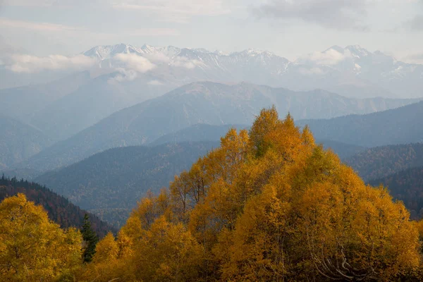 Goldener Herbst Den Bergen Von Adygea — Stockfoto