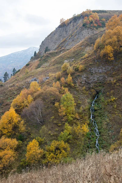 Gyllene Höst Bergen Adygeiska Republiken — Stockfoto