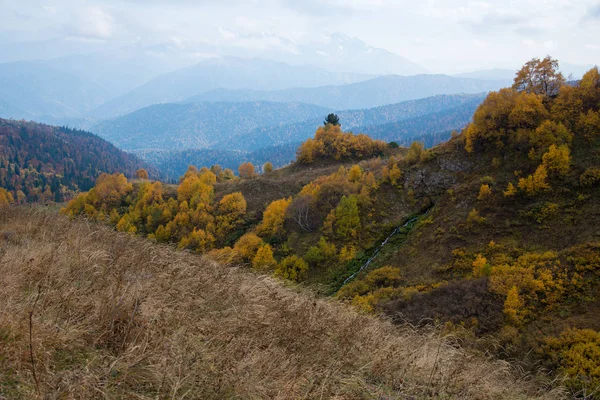 Goldener Herbst Den Bergen Von Adygea — Stockfoto