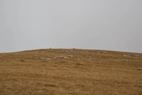 Una Subida Brillante Montaña Oshten Adygea —  Fotos de Stock