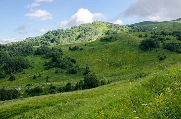 Величні Гірські Ландшафти Кавказьких Заповідника — стокове фото