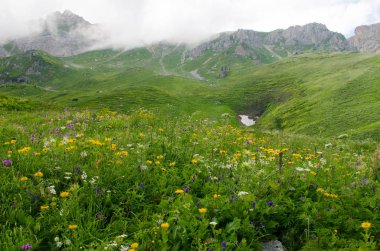 Kafkas rezerv görkemli dağ manzaraları