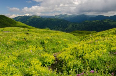 Kafkas rezerv görkemli dağ manzaraları