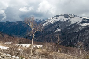 Hafta sonu gezisi için Mount Fisht. Adıge