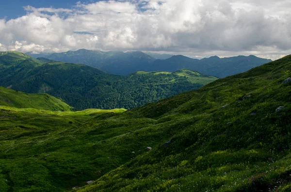 Paesaggi Montani Maestosi Della Riserva Caucasica — Foto Stock