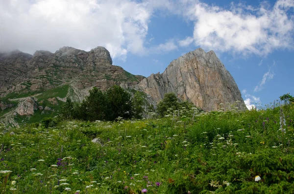 Majestätische Berglandschaften Des Kaukasischen Reservats — Stockfoto