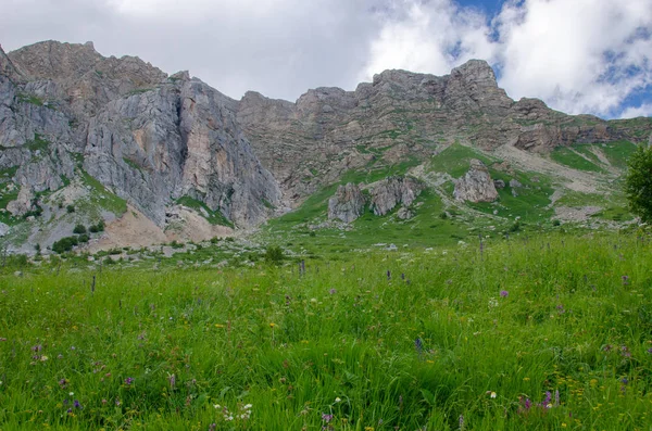 Μαγευτικά Ορεινά Τοπία Του Αποθεματικού Του Καυκάσου — Φωτογραφία Αρχείου