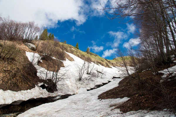 Víkendový Výlet Hoře Fisht Adygea — Stock fotografie