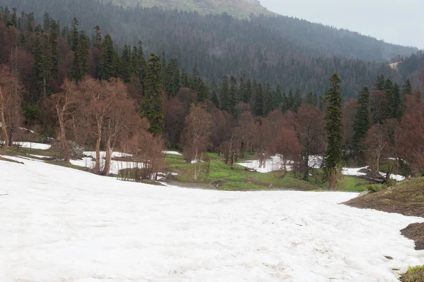 Week End Mount Fisht Adygea — Photo