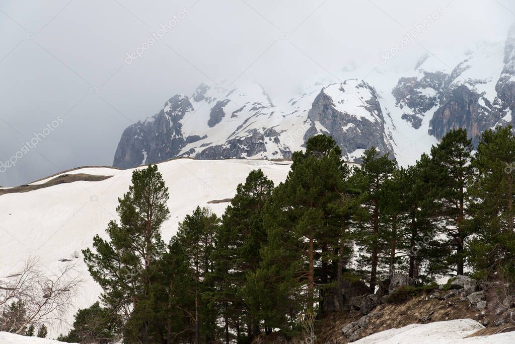 Weekend trip to Mount Fisht. Adygea