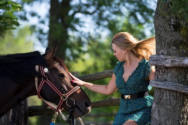 Giovane Bella Ragazza Con Cavallo Sulla Natura — Foto Stock