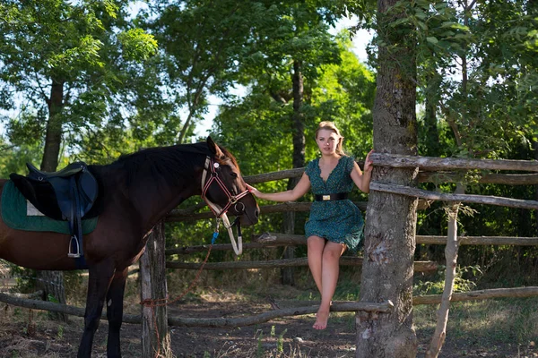 Mooi Meisje Met Een Paard Aard — Stockfoto