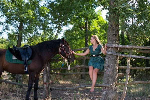 Giovane Bella Ragazza Con Cavallo Sulla Natura — Foto Stock