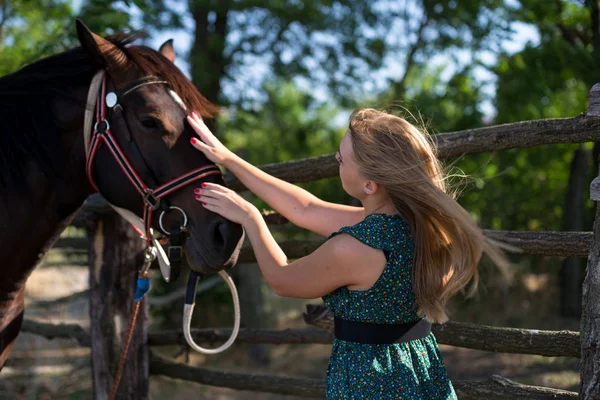 Giovane Bella Ragazza Con Cavallo Sulla Natura — Foto Stock