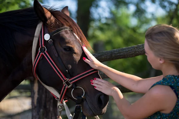 Giovane Bella Ragazza Con Cavallo Sulla Natura — Foto Stock