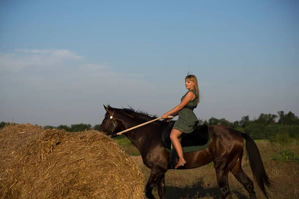 一匹马在性质上与年轻漂亮的女孩 — 图库照片