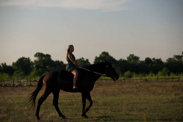 Giovane Bella Ragazza Con Cavallo Sulla Natura — Foto Stock