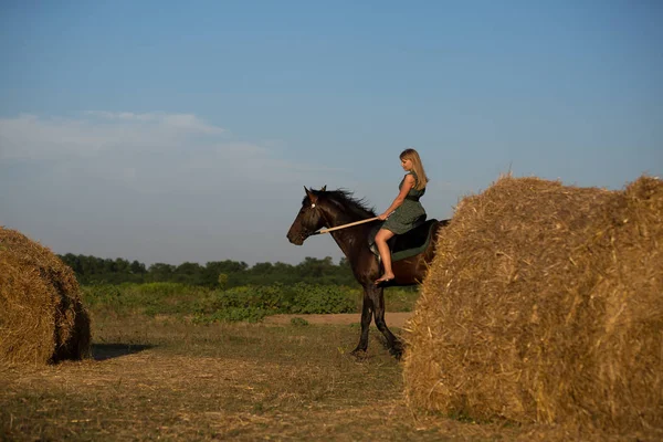 Menina Bonita Nova Com Cavalo Natureza — Fotografia de Stock