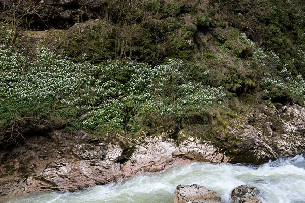 美丽的山景 关岛的峡谷 克拉斯诺达尔地区 — 图库照片