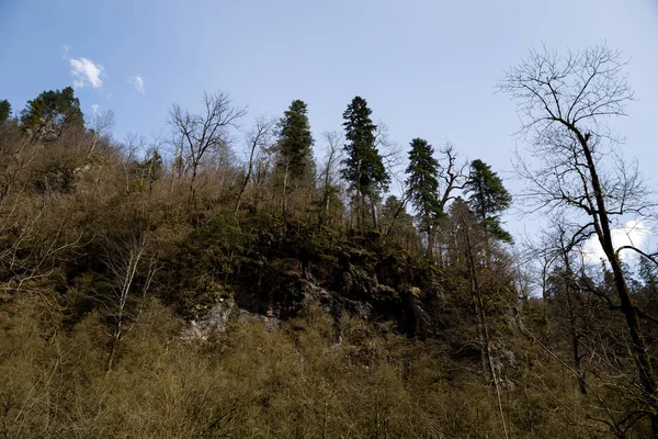 Hermoso Paisaje Montaña Garganta Guam Región Krasnodar —  Fotos de Stock