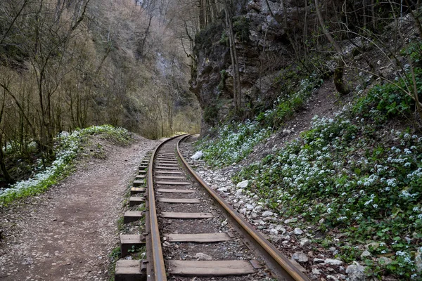 Mooi Berglandschap Guam Kloof Krasnodar Regio Stockfoto