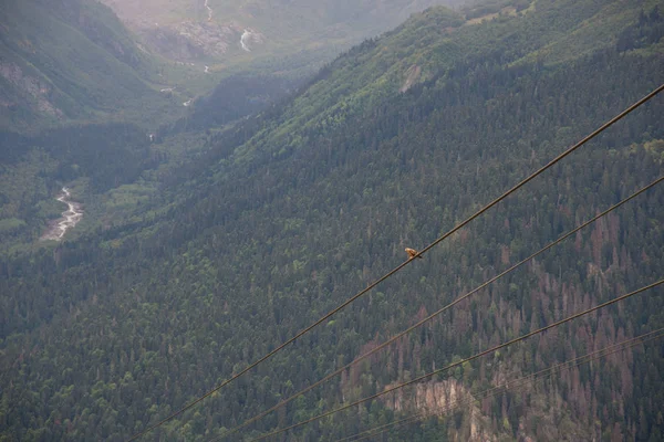 Faszinierender Aufstieg Die Berge Von Dombai Karatschaj Tscherkessien — Stockfoto
