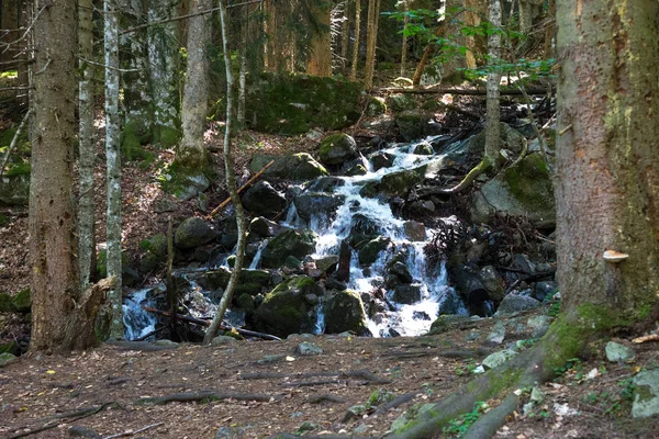 Fascinerande Uppstigning Bergen Dombai Karachay Tjerkessia — Stockfoto