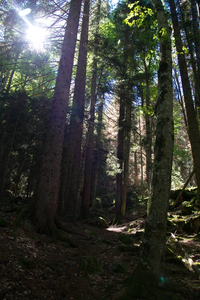 Faszinierender Aufstieg Die Berge Von Dombai Karatschaj Tscherkessien — Stockfoto