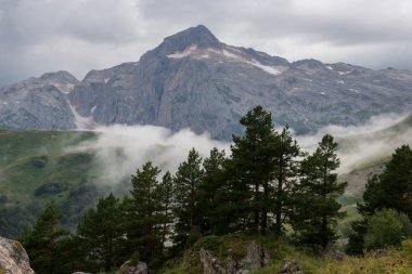 Kafkas rezerv görkemli dağ manzaraları