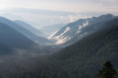 Kafkas rezerv görkemli dağ manzaraları