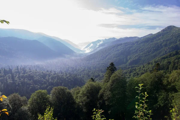 Górskimi Krajobrazami Rezerwatu Kaukaski — Zdjęcie stockowe