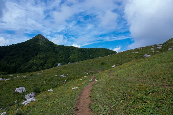 Величественные Горные Ландшафты Кавказского Заповедника — стоковое фото