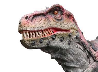 Bir büyük Model dinozor figürü başkanı.