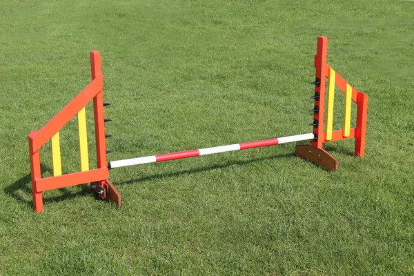 Obstáculo Salto Curso Entrenamiento Agilidad Para Perros —  Fotos de Stock