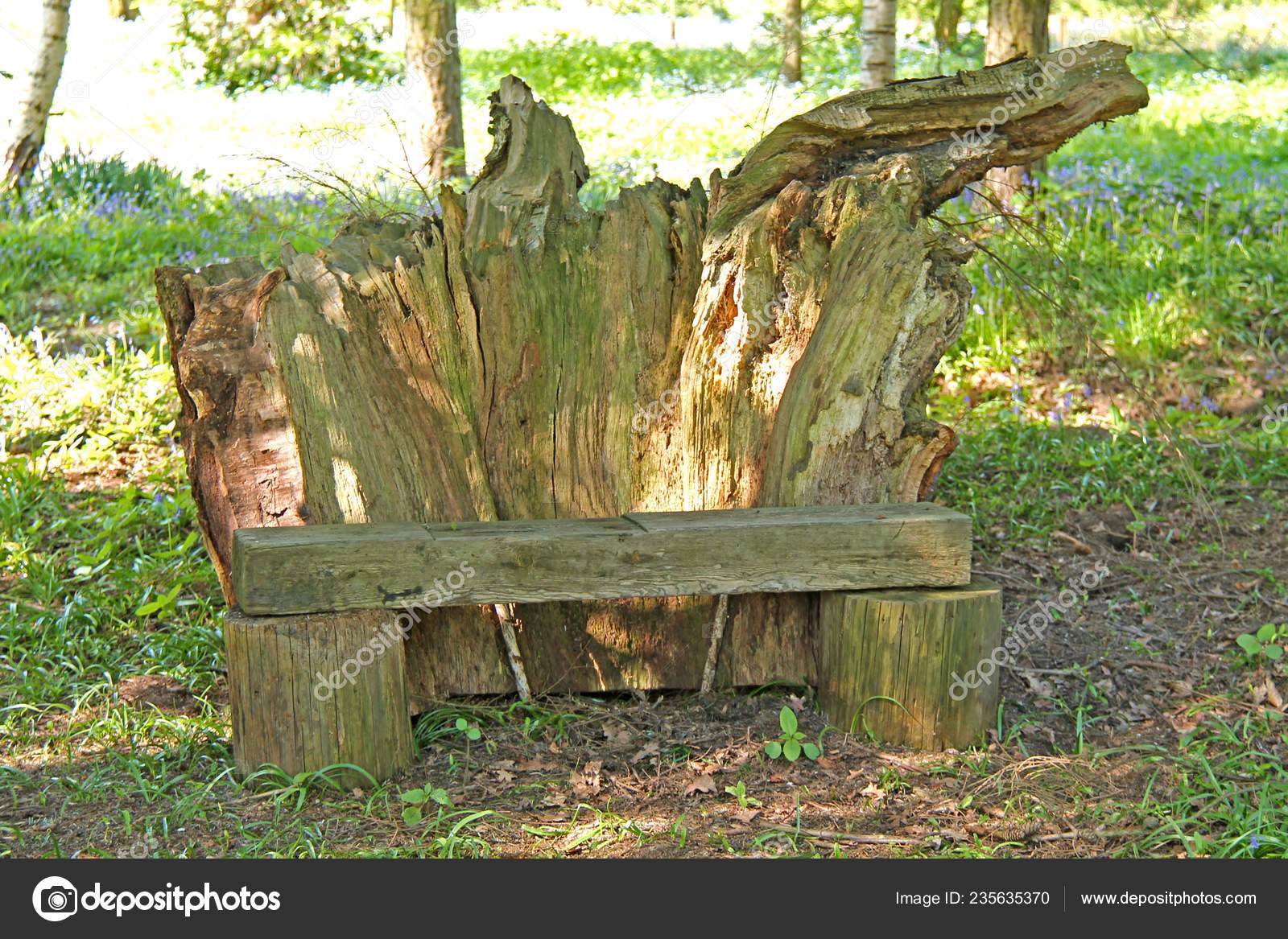 Woodland Park Bench Made Fallen Tree Stock Photo C Daseaford