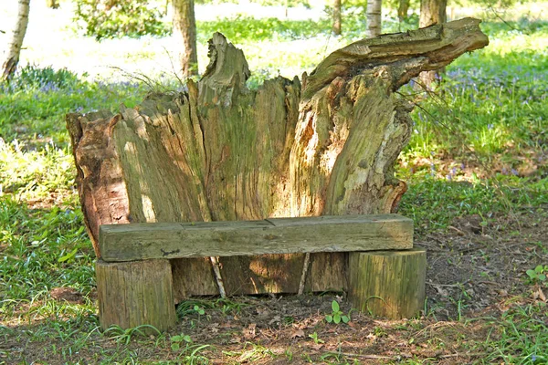 由落树制成的林地公园长椅 — 图库照片