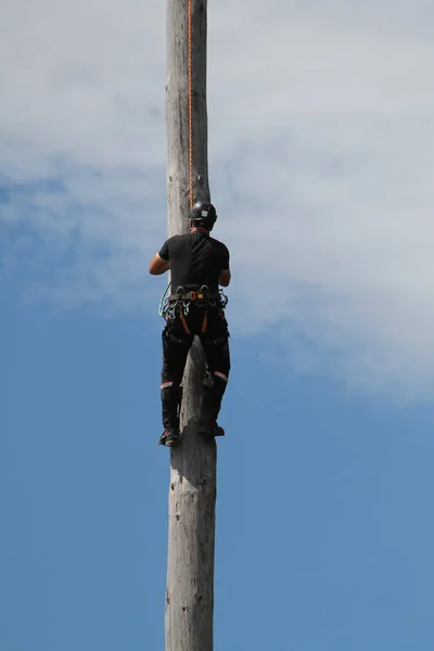 Ein Holzfäller Klettert Auf Einen Senkrechten Hölzernen Hochmast — Stockfoto