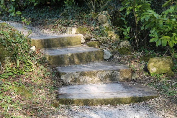 Ormanlık Yolda Dört Taş Basamak seti.