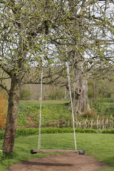 Stor Trädgård Trä Swing Hängande Från Ett Träd — Stockfoto