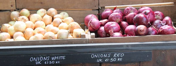 Een Weergave Van Verse Rode Witte Uien Koop — Stockfoto