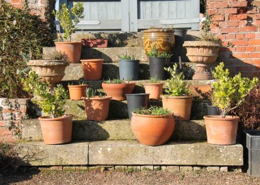 Taş adımlar bahçe potted bitkiler bir düzenlemesi.