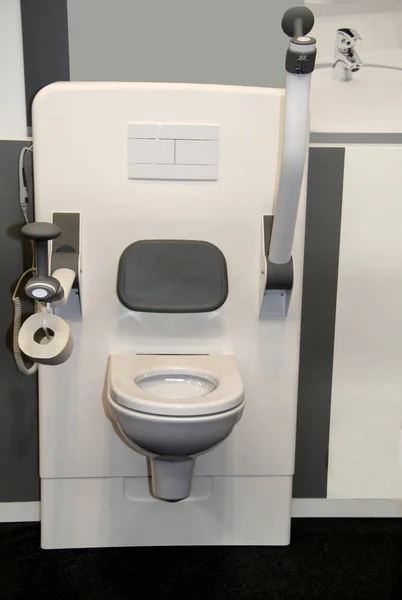 Modern Bathroom Toilet Disability Access Aids — Stock Photo, Image