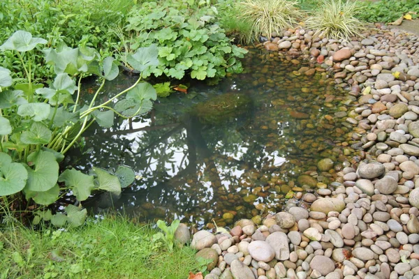 Stone Pebble Gradient Edge Garden Pond — Stock Photo, Image