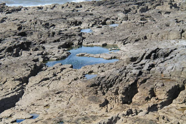 Une Collection Piscines Côtières Roches Marémotrices Eau Salée — Photo